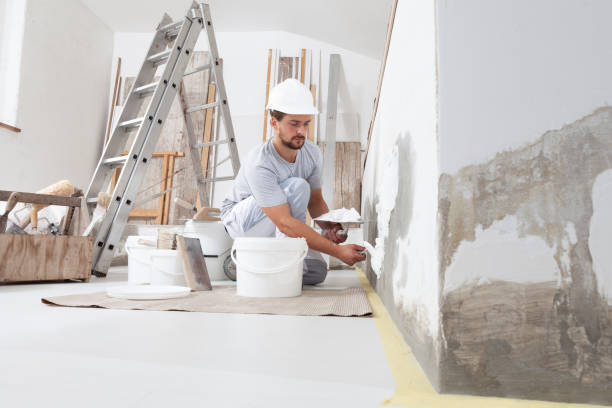 Best Environmental Consulting for Mold Prevention  in Marseles, IL