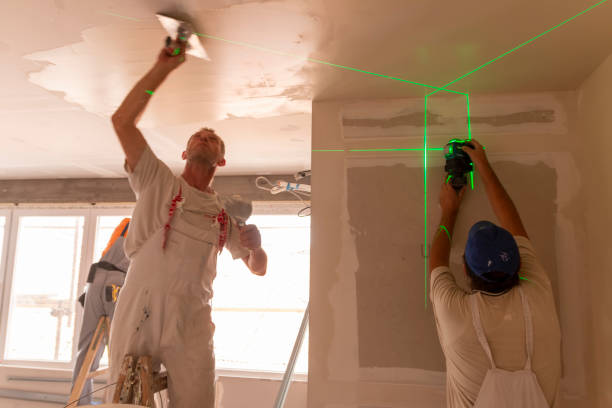  Marseles, IL Mold Removal Pros