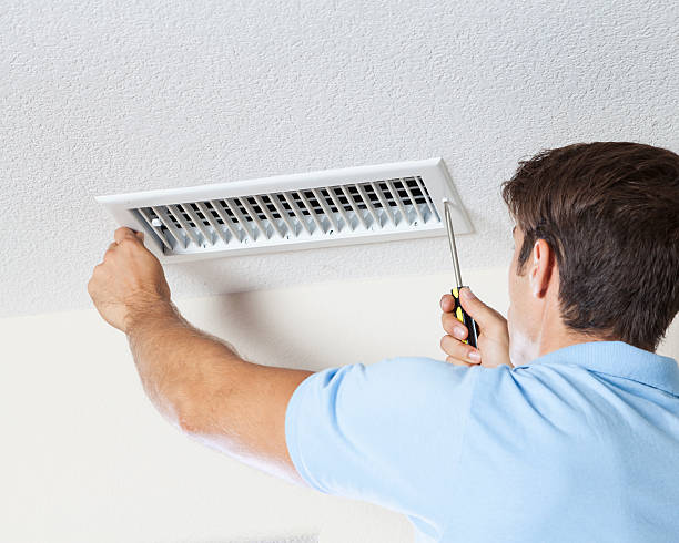 Best Mold-Related Health Consultation  in Marseles, IL
