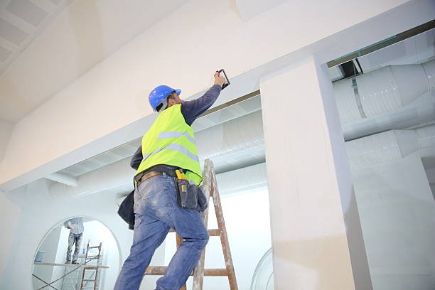 Best Mold Odor Removal Services  in Marseles, IL