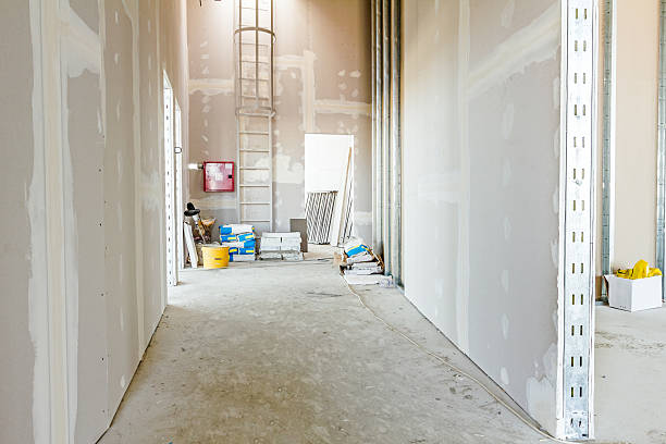 Best Mold Remediation for Healthcare Facilities  in Marseles, IL